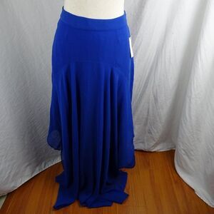 Anthropologie HD In Paris Women Blue Skirt Size 8.